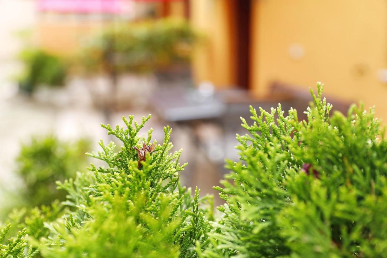 Apartmani Strpic Biograd Na Moru Luaran gambar
